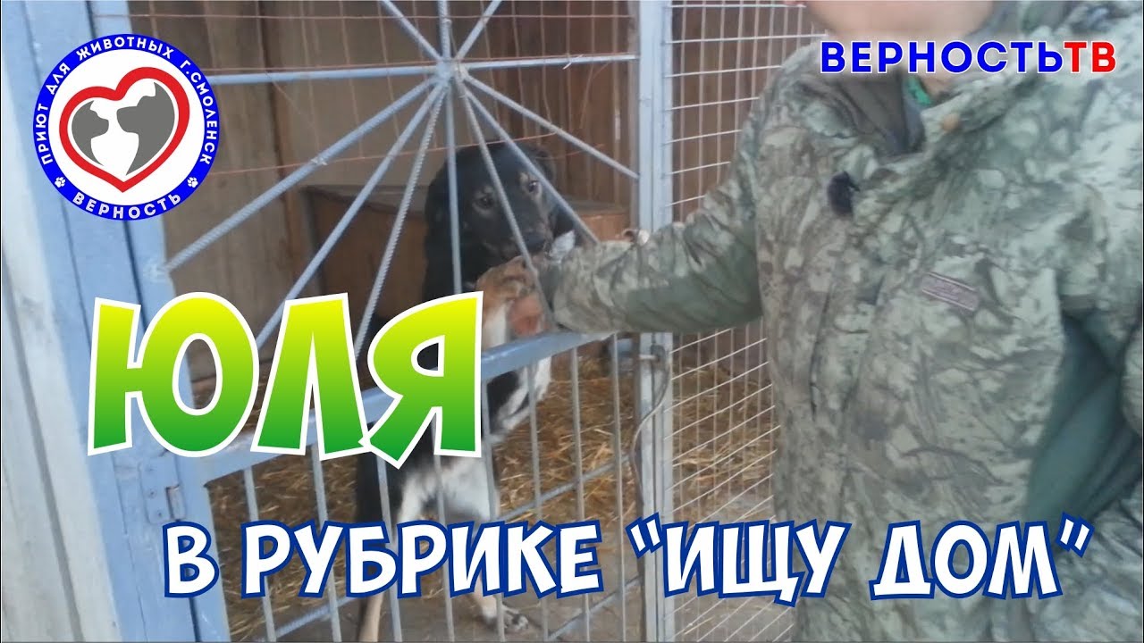 Юля ИЩЕТ ДОМ