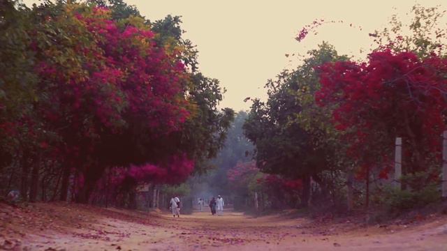 Вриндаван / Vrindavan