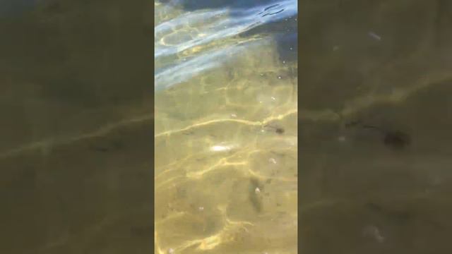 Харьков снимаю видео Основа озеро смотреть онлайн