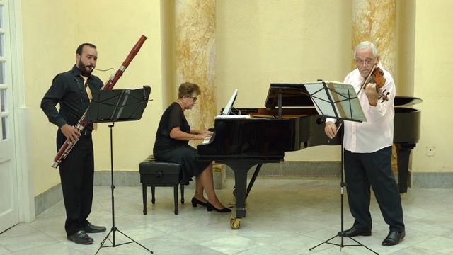 Antonio Lucio Vivaldi (1678-1741) | Sonata RV 83 | II Largo (Transcription) смотреть онлайн