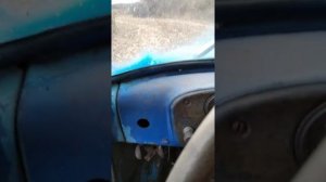 Уборка кукурузы сорт Mas 25 результат удивил.