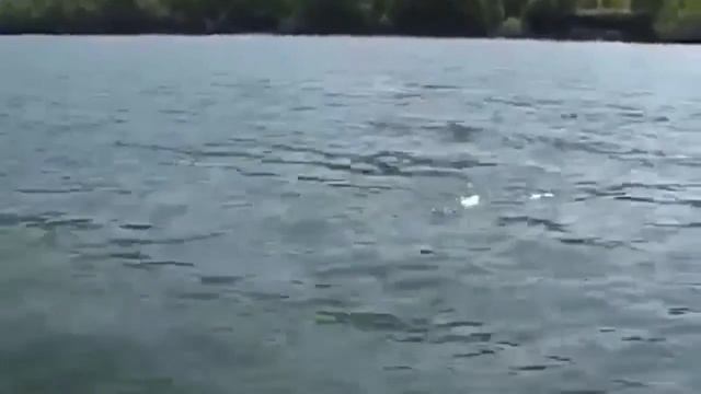 Рыбалка на Байкале. Ловля окуня./ The fishing on the lake Fishing for perch смотреть онлайн