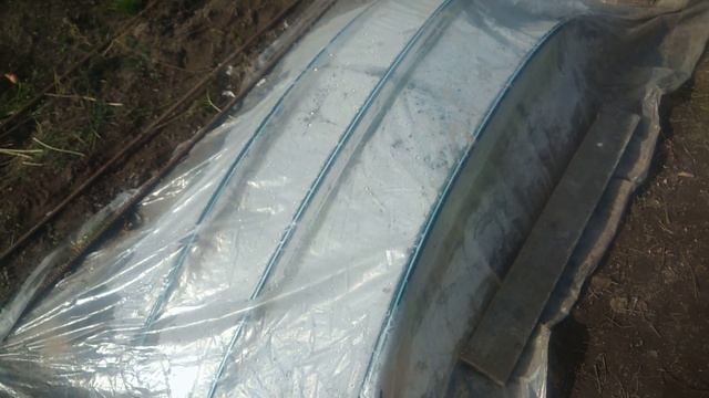 Размножение клубники усами воздушкой без применения тумана.Результат моего эксперимента? смотреть онлайн