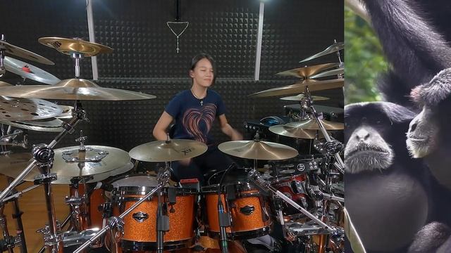 Jamming With Monkey... REAL MONKEYS !!! ~ Monyet Siamang | Monkey Music Show Time [Monkey Sing]