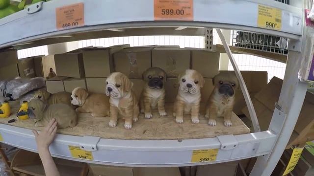 БАУЦЕНТР строительный гипермаркет в Новороссийске Прогулка Шоппинг смотреть онлайн