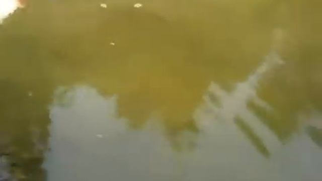 Щука проглотила крота. смотреть онлайн