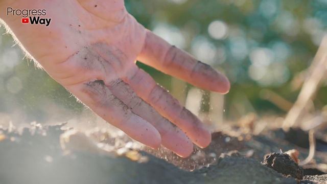 Срочно Дайте Чесноку При Марганцовку И Будете Собирать Чеснок Тоннами! Осенняя Посадка Чеснока!