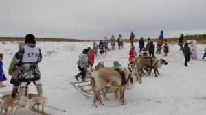 Ноябрьск день оленевода