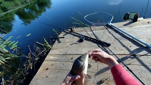 МЕТОД ЛОВЛИ КАРПА!!! СНАСТЬ НА КАРПА! смотреть онлайн