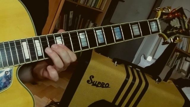 Krbi's Guitar - Blues pro všední den (Blues -Swing - Jazz, D'Angelico Excel exl 1) смотреть онлайн