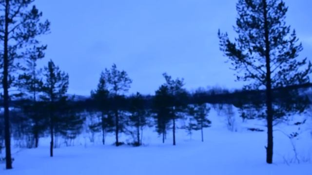 Последние дни полярной ночи. В лесу на лыжах.