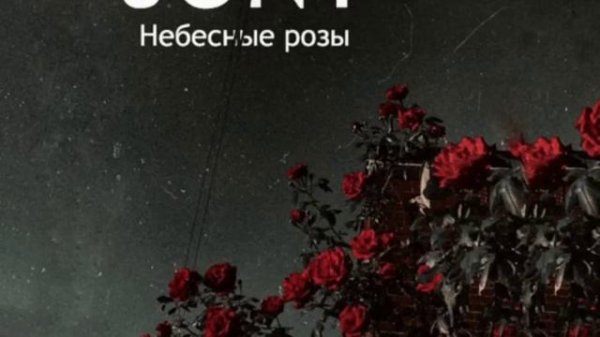 Небесные розы🤍. 🤍Jony🤍