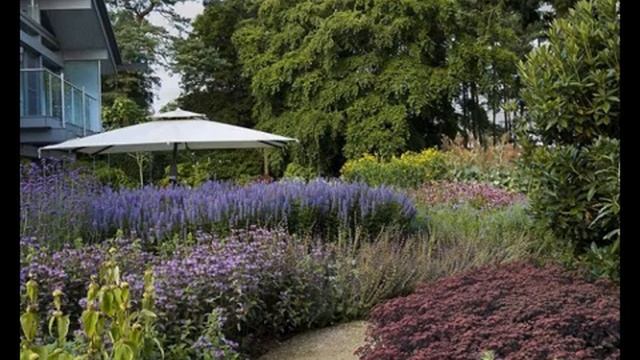 ЛУЧШЕЕ ОФОРМЛЕНИЕ И ОЗЕЛЕНЕНИЕ СОВРЕМЕННОГО УЧАСТКА /gardening of the garden смотреть онлайн