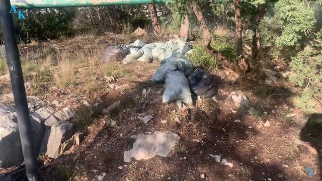 Немного Гаспры. Крым. ЮБК. 13.12.2023г. смотреть онлайн