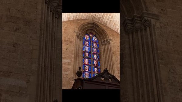 #sealife #catedraldevalencia #valencia #spain #2024