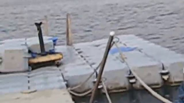 Ядовитая рыбка крылатка смотреть онлайн