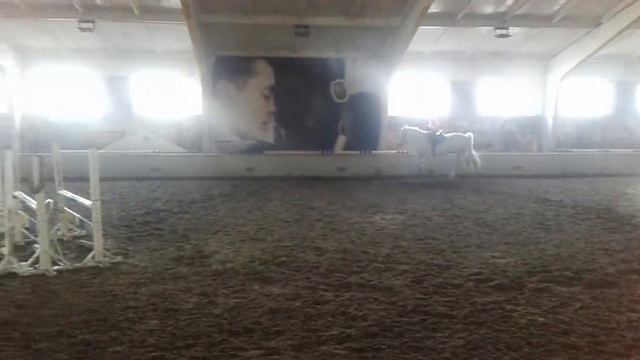 Урок верховой езды смотреть онлайн
