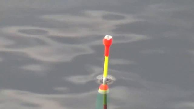 Рыбалка на удочку в сентябре на реке_отчёт смотреть онлайн