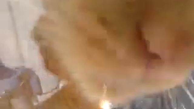 Кошка застряла между окон смотреть онлайн