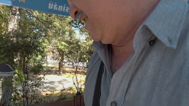 Кишинев Ботаника, осенняя прическа автора, 24 сентября 2020 года Турецкий чай и кофе в "PARK СAFE смотреть онлайн
