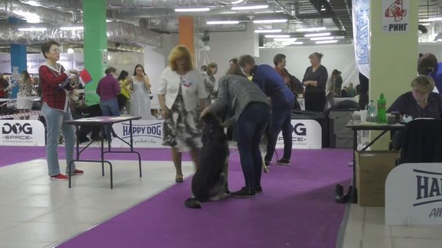 Суки промежуток