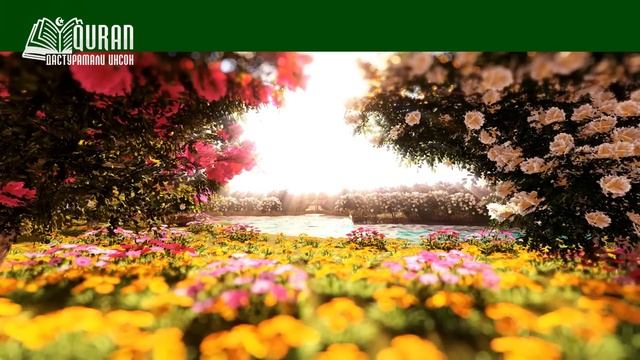 24 - СУРАИ НУР/SURAH AN NUR