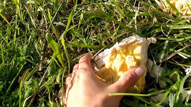 Сельские будни с градом и радугой. Поездка в районный центр. Какие семена купили. смотреть онлайн