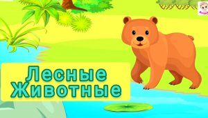 ЛЕСНЫЕ ЖИВОТНЫЕ ДЛЯ ДЕТЕЙ / РАЗВИВАЮЩИЕ МУЛЬТИКИ ПРО ЖИВОТНЫХ / УЧИМ НОВЫХ ЖИВОТНЫХ