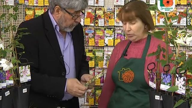 Зеленый дом: вертикальное озеленение смотреть онлайн