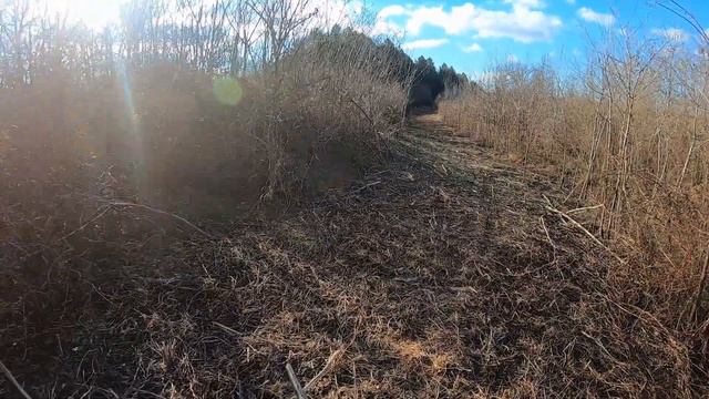 Rabbit Hunting Opening Day of James D Martin Management Area смотреть онлайн