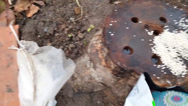 Пень не разрушается? Селитра не помогла? Исправляем ошибки! смотреть онлайн