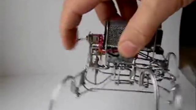 паук Bucephalus из проволоки