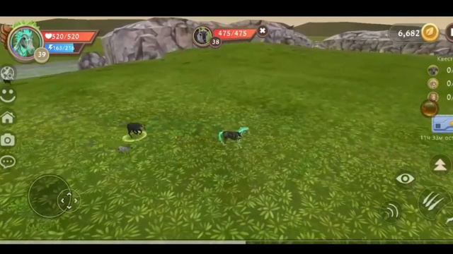 //НОВЫЙ БАГ НА ПРОКАЧКУ?! КАК БЫСТРО ПРОКАЧАТЬСЯ ПОСЛЕ ОБНОВЛЕНИЯ?!//(WildCraft) смотреть онлайн