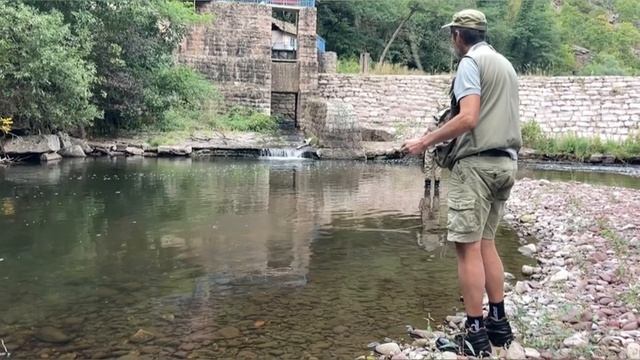 Нахлыстовая рыбалка в Сербии, реки Темштица и Височица 09.2023. Fly fishing in Serbia, Stara Planin смотреть онлайн