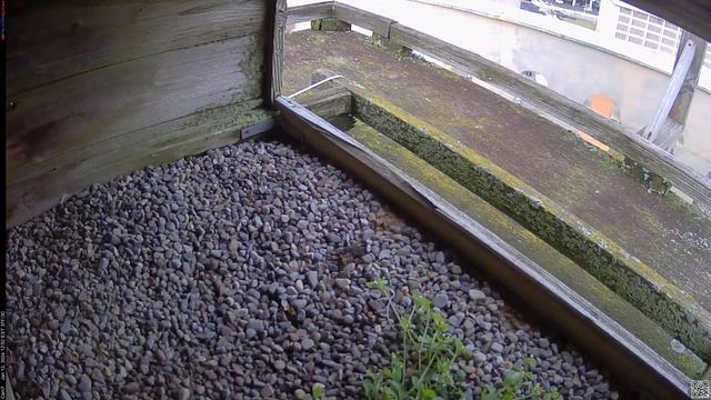 Camera 7 - 01/12/24 смотреть онлайн