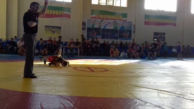 Первенство по греко-римской борьбе смотреть онлайн