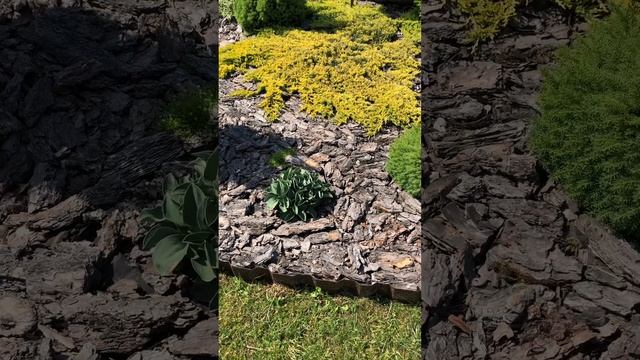 Как создать круглую клумбу смотреть онлайн