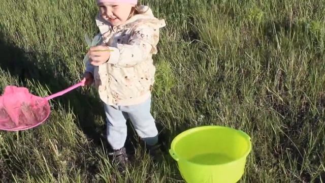Ловим БАБОЧЕК и запускаем ВОЗДУШНОГО ЗМЕЯ Catching BUTTERFLIES and launch a kite смотреть онлайн