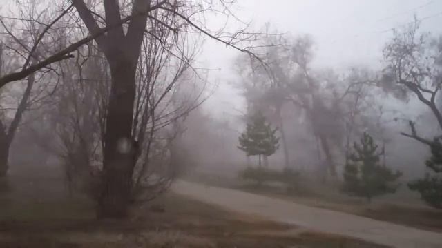 Песня Сергея Ларина «Емеля не дурак» смотреть онлайн