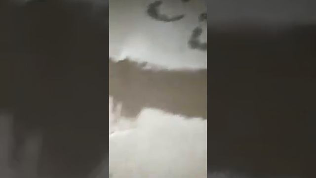 Скобы в колодце 1 вариант смотреть онлайн