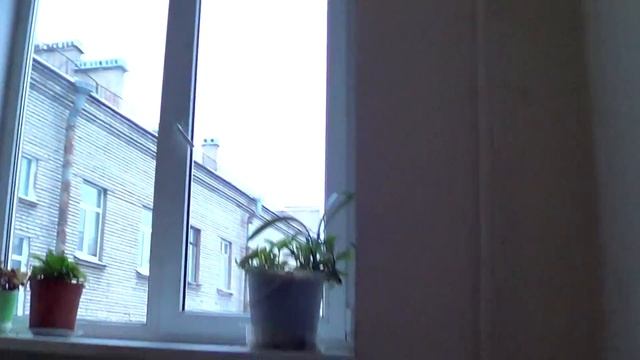 Что происходит на Набережной Адмирала Лазарева 20 ? смотреть онлайн