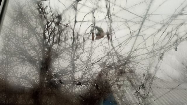 На улице похолодало повесили птичкам сало