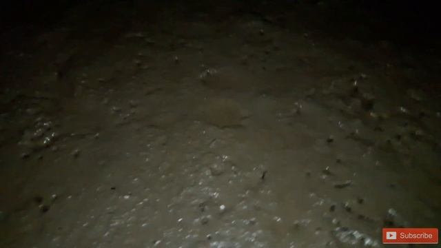 Mudskippers The Fish That Walk On Land How To Catch Mudskipper And Use For A Bait Fishing In Karach смотреть онлайн