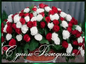 🎁С днем рождения девушке красивые поздравления🎂🌟🎊