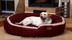 Лежанка для собаки своими руками: как сделать