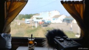 АСМР Звуки Поезда для СНА? (1 Hour)? ASMR Relaxing Train Sounds | Ambient white noise for studying