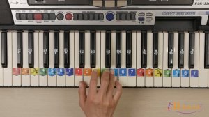 Пусть бегут неуклюже на пианино. Как играть. Ноты цифрами