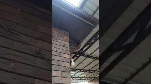 Дом Смычки кирпич навес