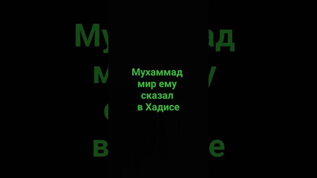 Мухаммад мир ему сказал что читать перед сном #напоминание #ислам #религия #единобожие # смотреть онлайн