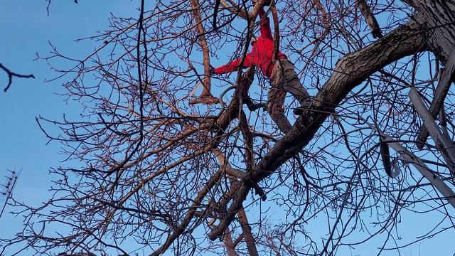 22 Купили дом на юге убераю это не дразумение смотреть онлайн